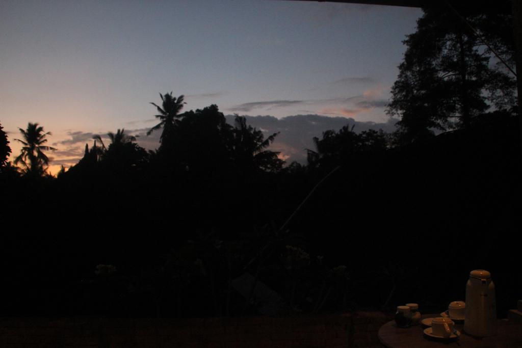 Ubud Rooms B&B Exterior photo